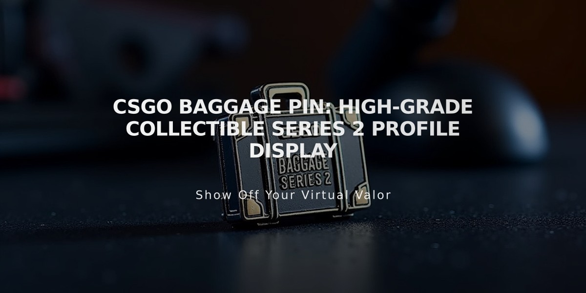 CSGO Baggage Pin: High-Grade Collectible Series 2 Profile Display