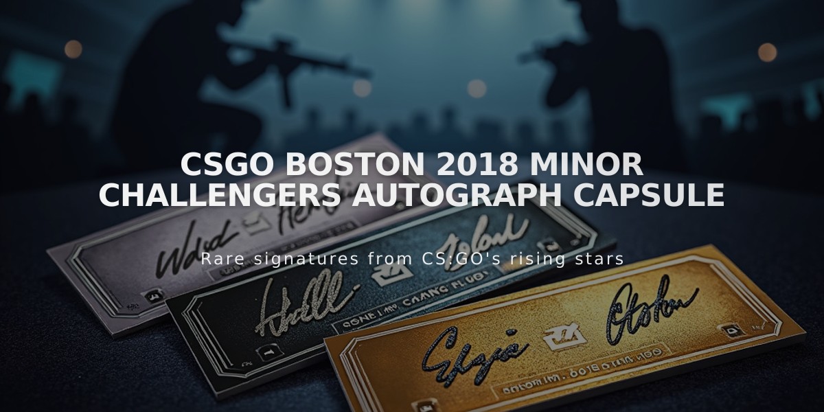 CSGO Boston 2018 Minor Challengers Autograph Capsule