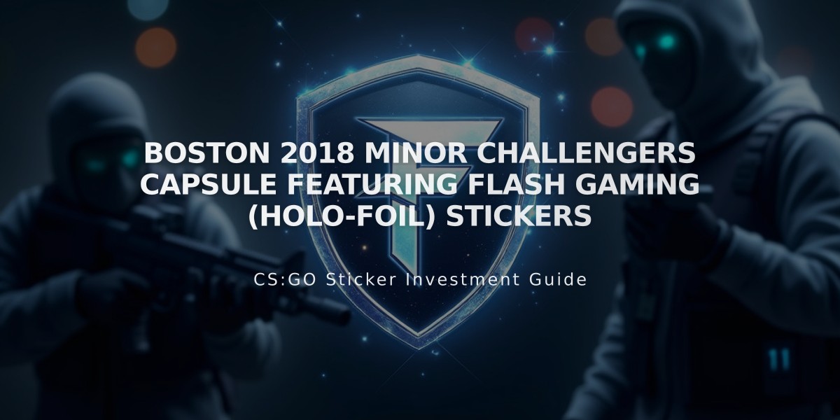 Boston 2018 Minor Challengers Capsule featuring Flash Gaming (Holo-Foil) Stickers