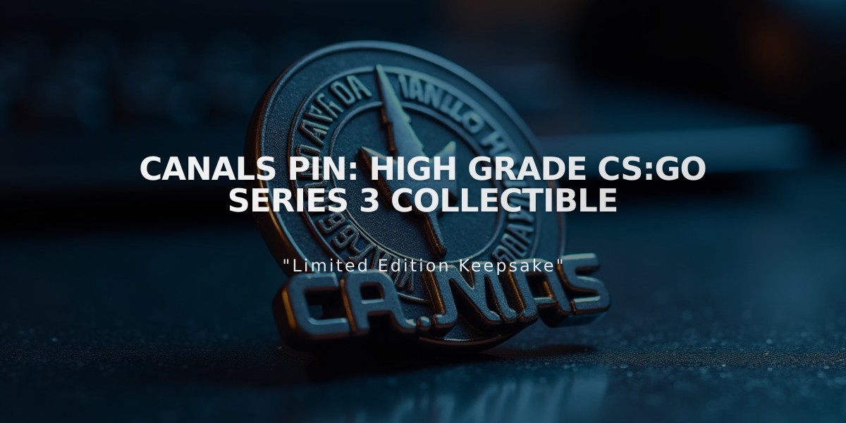 Canals Pin: High Grade CS:GO Series 3 Collectible