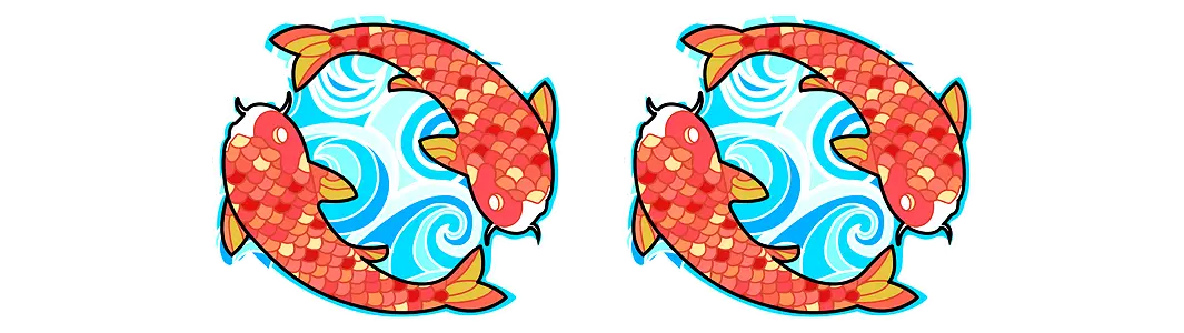 Two koi fish swimming in circle