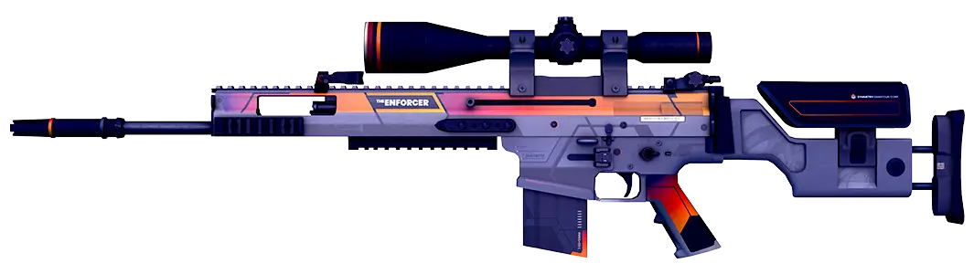 Enforcer LR rifle