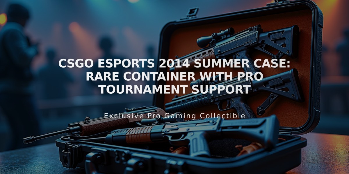 CSGO eSports 2014 Summer Case: Rare Container with Pro Tournament Support