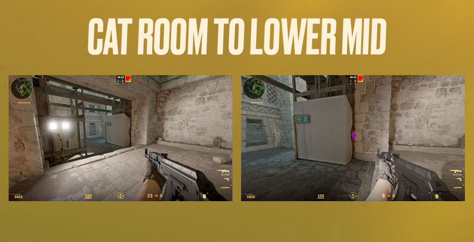 Counter-Strike cat room to mid