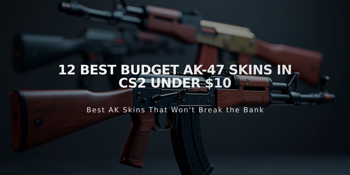 12 Best Budget AK-47 Skins in CS2 Under $10