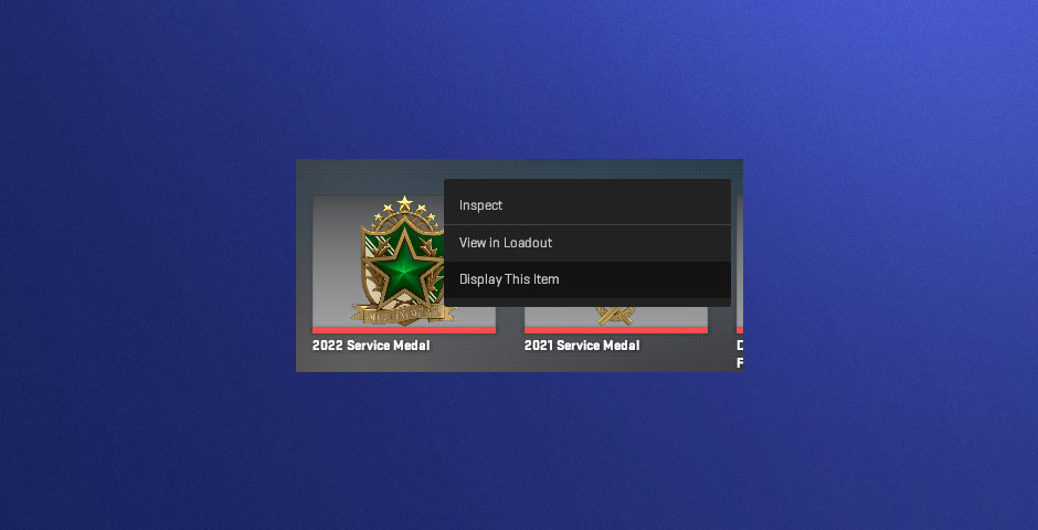 CS2 Service Medal dropdown menu