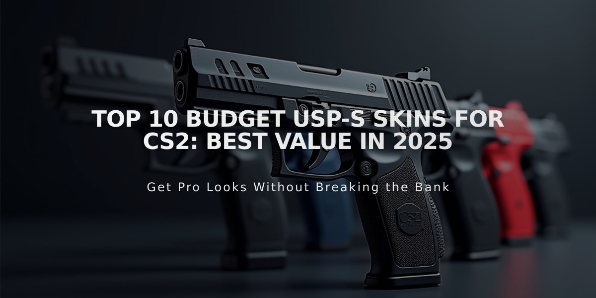 Top 10 Budget USP-S Skins for CS2: Best Value in 2025