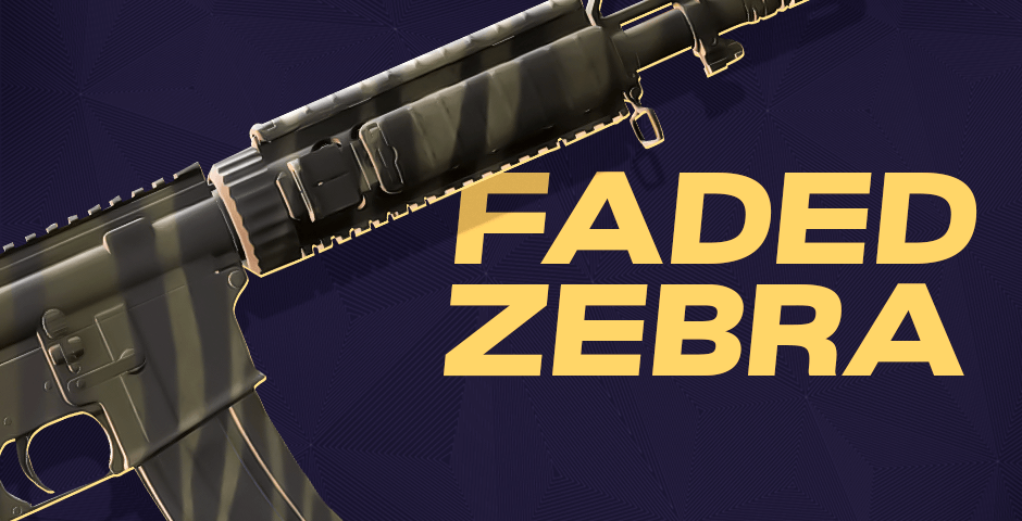 Faded zebra pattern weapon skin