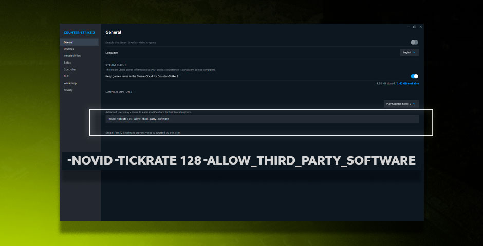 Steam launch options menu