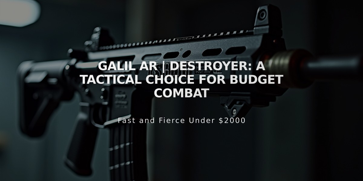 Galil AR | Destroyer: A Tactical Choice for Budget Combat