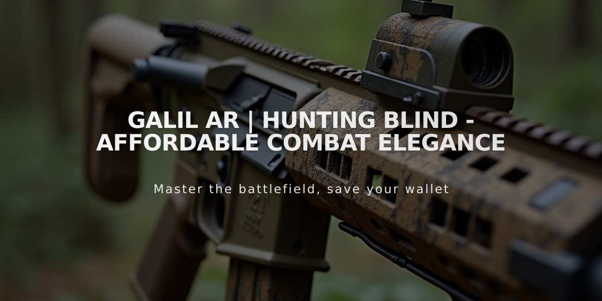 Galil AR | Hunting Blind - Affordable Combat Elegance