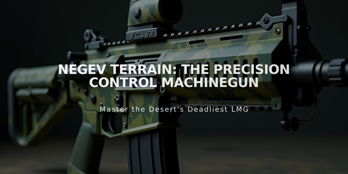 Negev Terrain: The Precision Control Machinegun